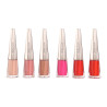 Pack 6 Labiales Líquidos Mate Larga Duración