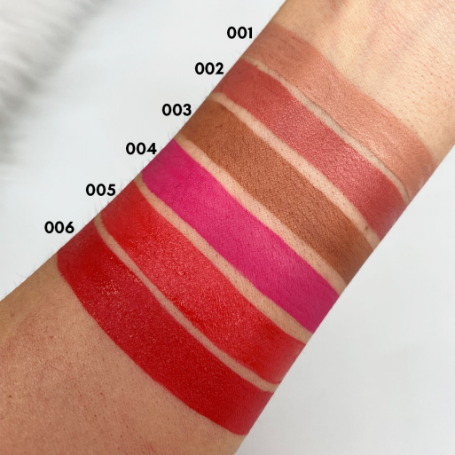 Pack 6 Labiales Líquidos Mate Larga Duración